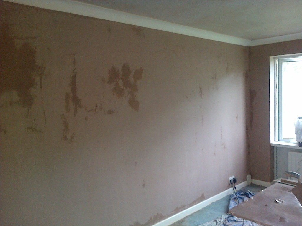 Leominster, Ludlow and Tenbury Wells plasterer